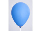 Ballonger 25cm 100/fp blå - Primmeshiper