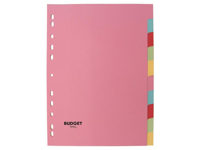 Kartongregister LYRECO budget A4 10-flik - Primmeshiper