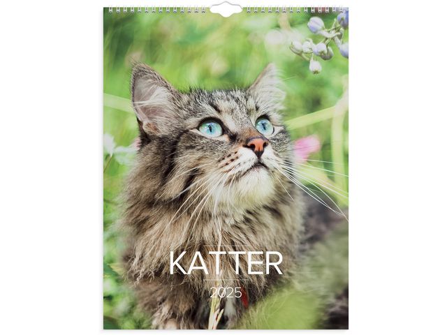 Väggkalender Stora Kattkalendern 2025 - Primmeshiper