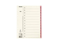 Pappregister Servo A4 Jan-Dec rosa flik - Primmeshiper