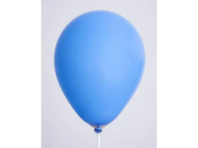 Ballonger 25cm 100/fp blå - Primmeshiper