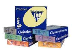 Kop.ppr TROPHEÉ A4 120g oh mintgr 250/fp - Primmeshiper